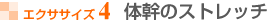 GNTTCY4 ̊̃Xgb`