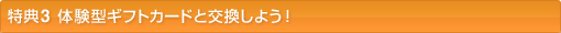���T3�@�̌��^�M�t�g�J�[�h�ƌ������悤�I