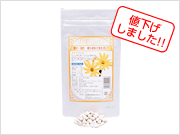 �e�𗱁E�o�i�o����